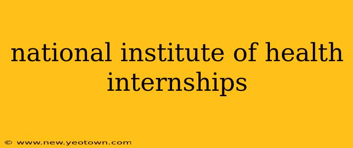 national institute of health internships