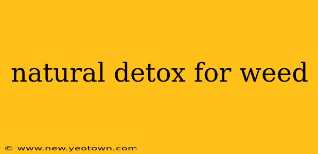 natural detox for weed