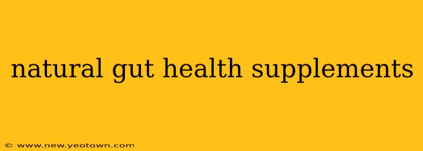natural gut health supplements