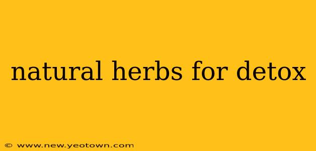 natural herbs for detox