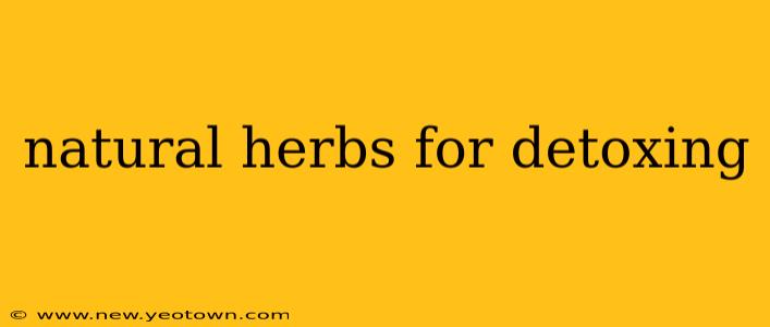 natural herbs for detoxing