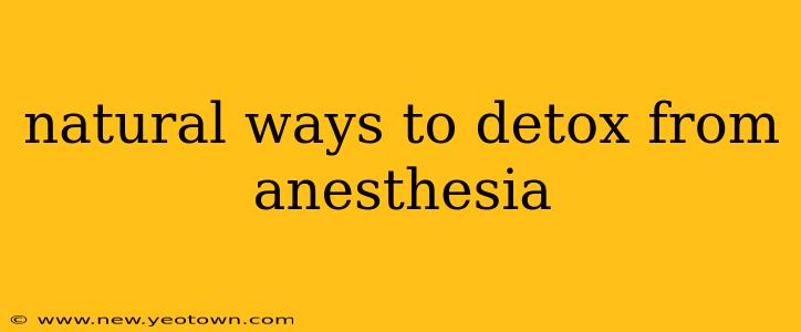 natural ways to detox from anesthesia