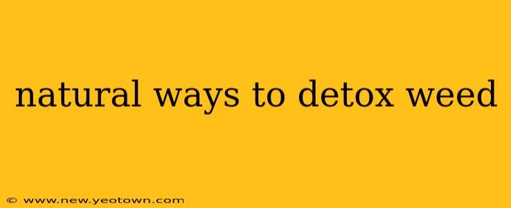 natural ways to detox weed