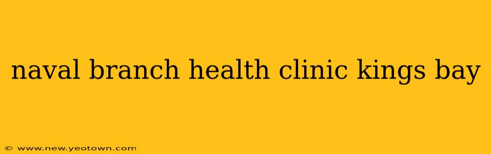naval branch health clinic kings bay