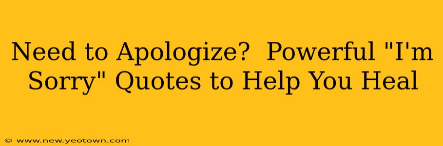 Need to Apologize?  Powerful "I'm Sorry" Quotes to Help You Heal