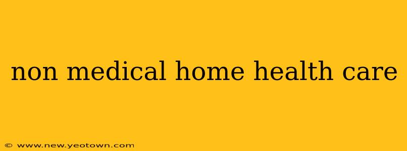 non medical home health care