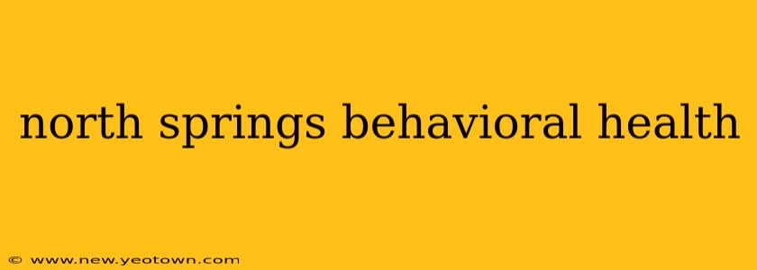 north springs behavioral health
