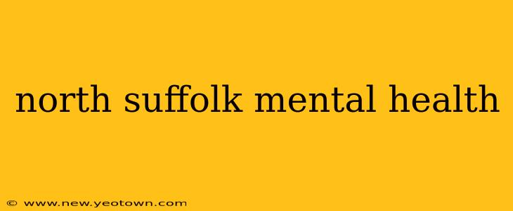 north suffolk mental health