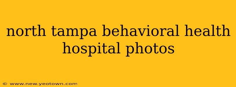 north tampa behavioral health hospital photos