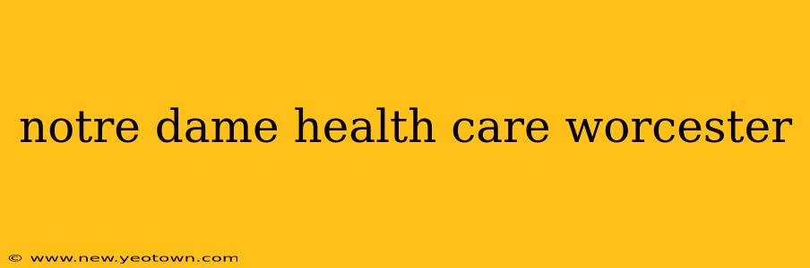 notre dame health care worcester