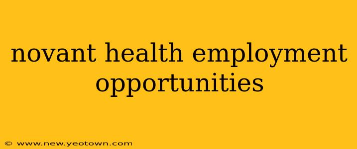 novant health employment opportunities