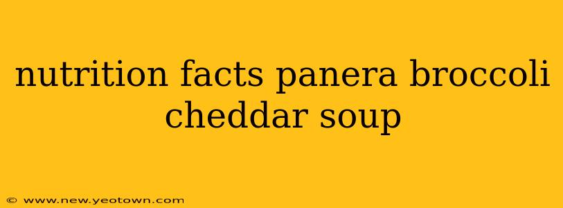nutrition facts panera broccoli cheddar soup