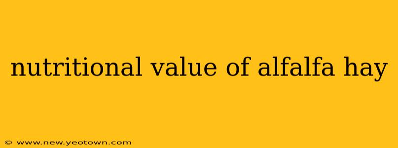 nutritional value of alfalfa hay