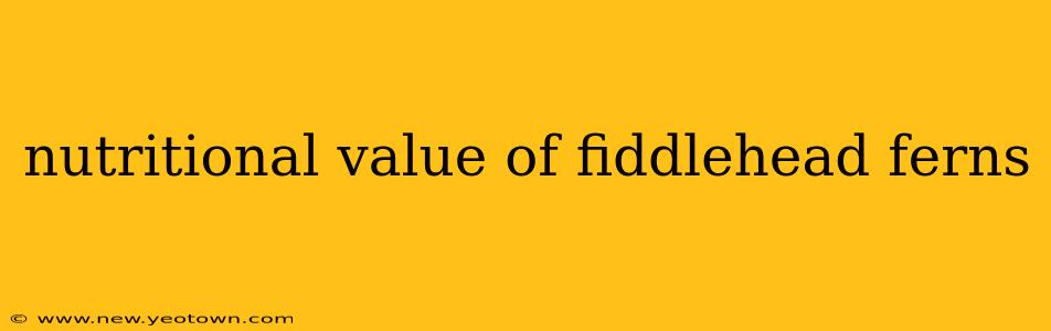 nutritional value of fiddlehead ferns