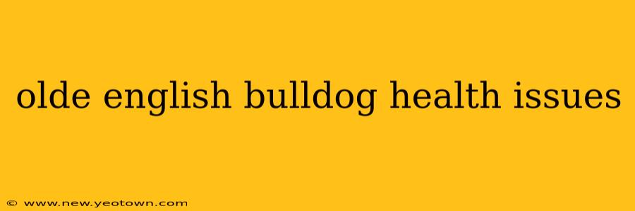 olde english bulldog health issues