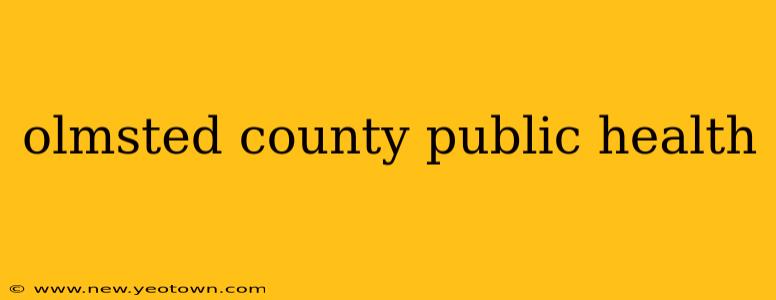 olmsted county public health