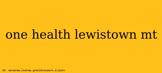 one health lewistown mt