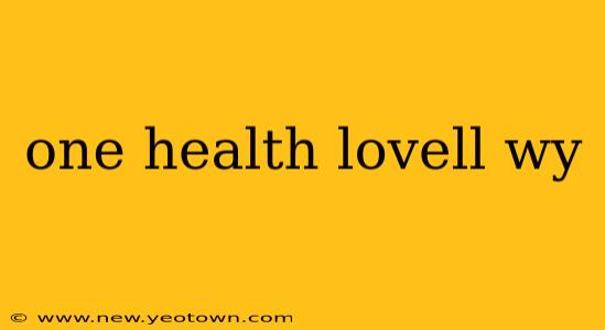 one health lovell wy