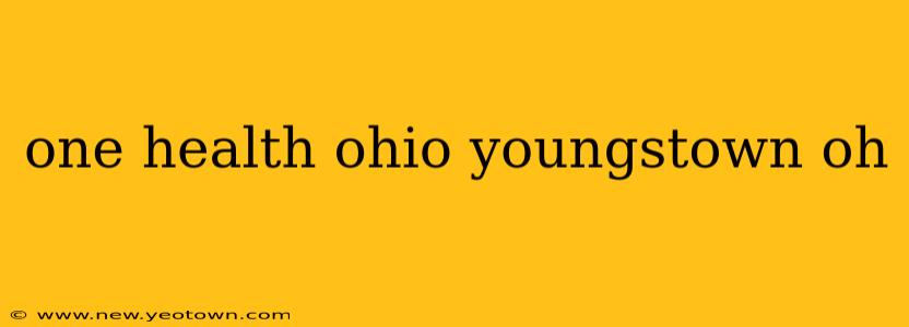 one health ohio youngstown oh