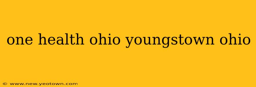 one health ohio youngstown ohio
