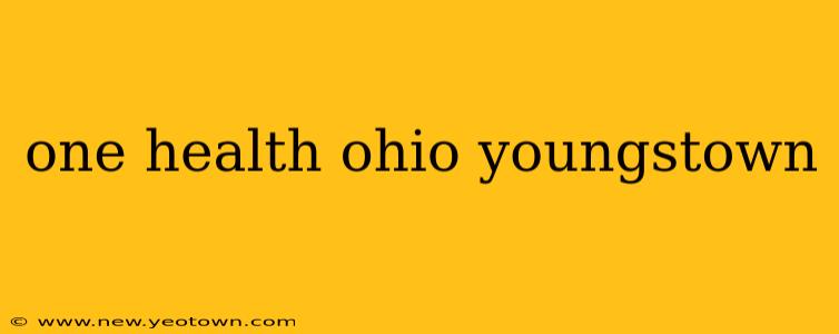 one health ohio youngstown