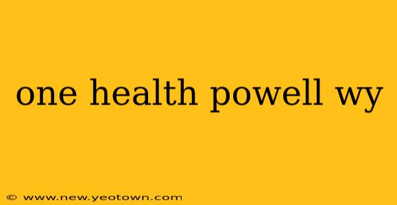 one health powell wy