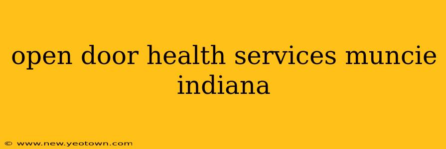 open door health services muncie indiana