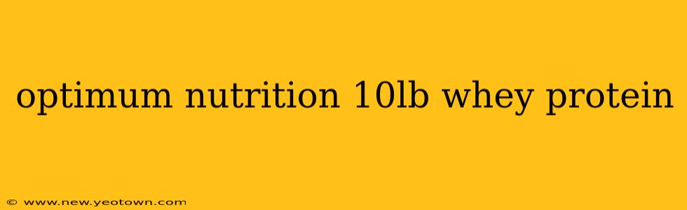 optimum nutrition 10lb whey protein