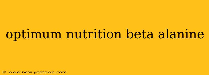 optimum nutrition beta alanine