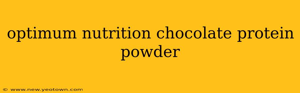 optimum nutrition chocolate protein powder
