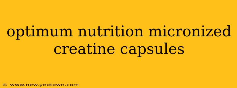 optimum nutrition micronized creatine capsules