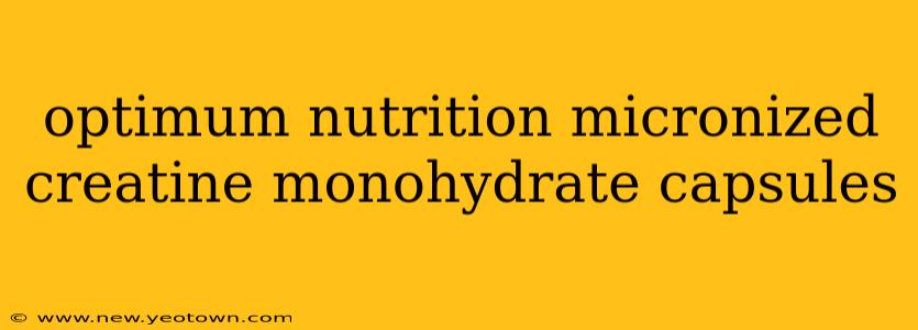 optimum nutrition micronized creatine monohydrate capsules