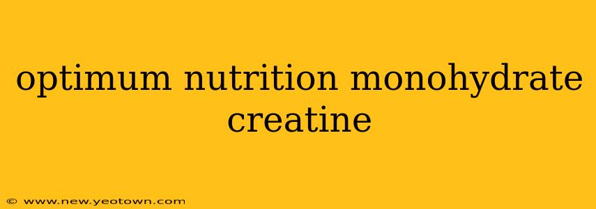 optimum nutrition monohydrate creatine