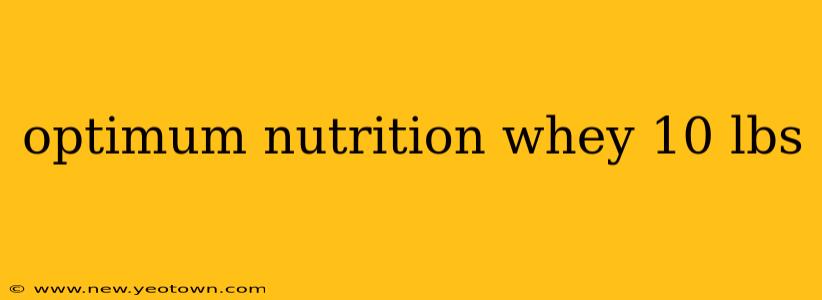 optimum nutrition whey 10 lbs