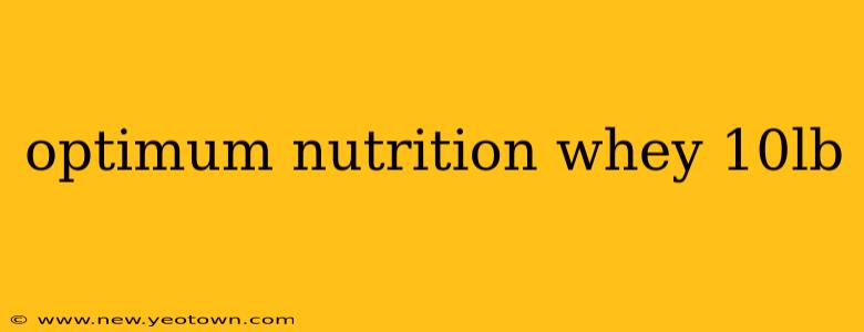 optimum nutrition whey 10lb