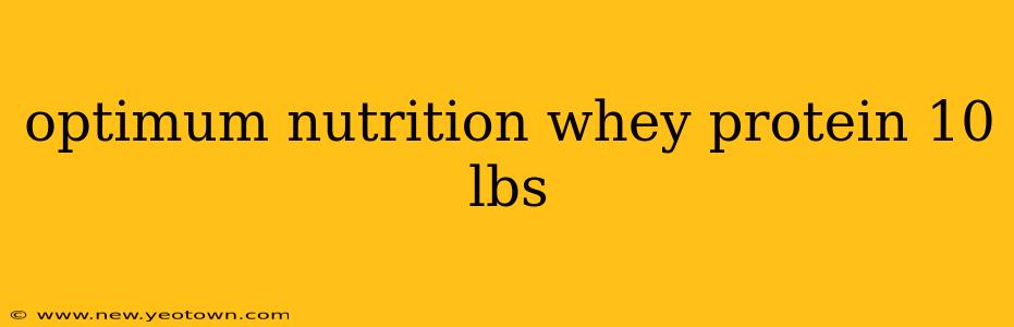 optimum nutrition whey protein 10 lbs