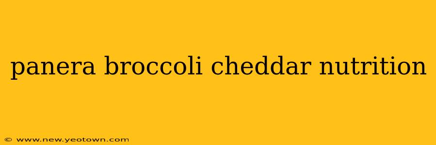 panera broccoli cheddar nutrition