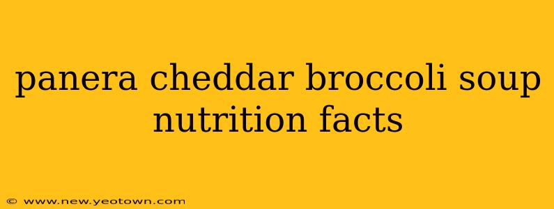 panera cheddar broccoli soup nutrition facts