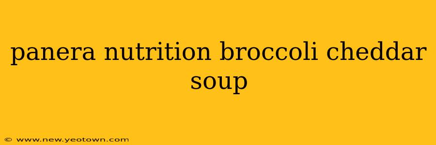 panera nutrition broccoli cheddar soup