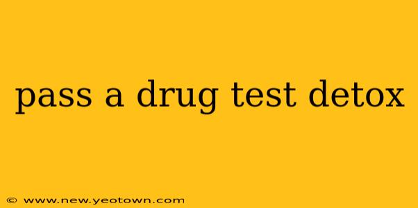pass a drug test detox