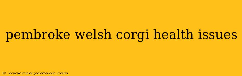 pembroke welsh corgi health issues