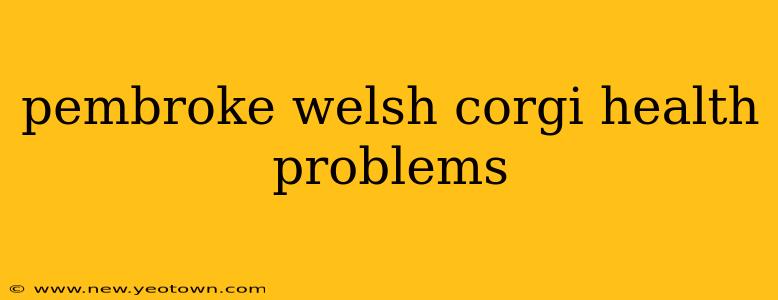 pembroke welsh corgi health problems