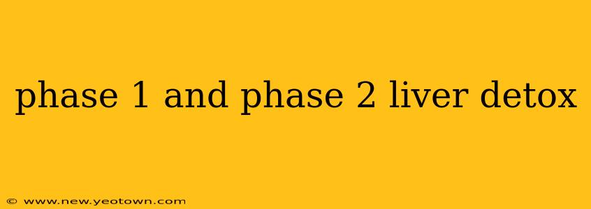 phase 1 and phase 2 liver detox