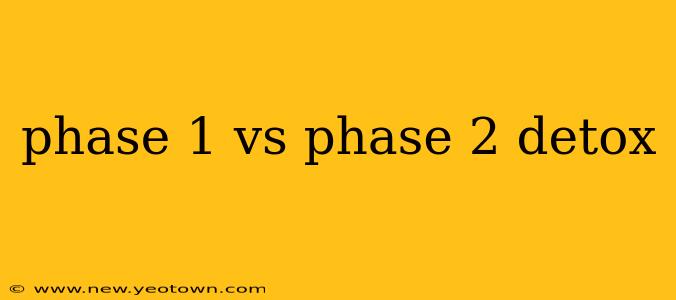 phase 1 vs phase 2 detox