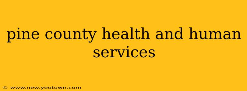 pine county health and human services