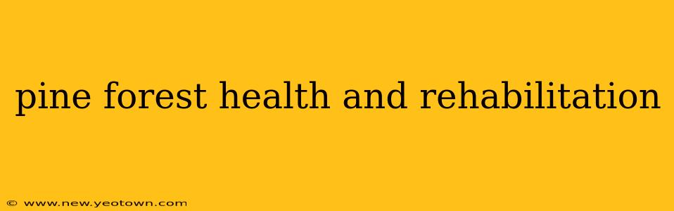 pine forest health and rehabilitation