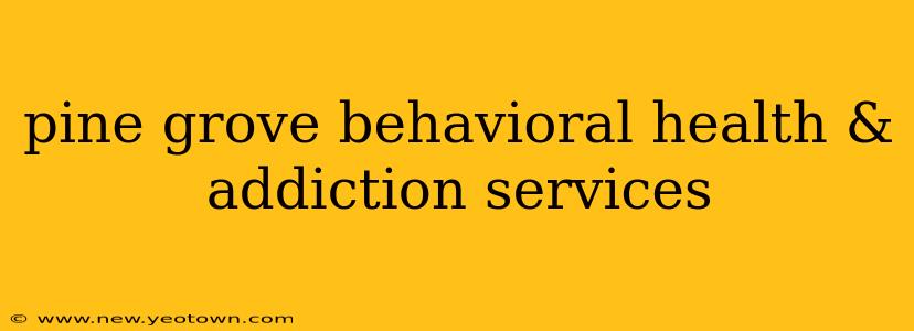 pine grove behavioral health & addiction services