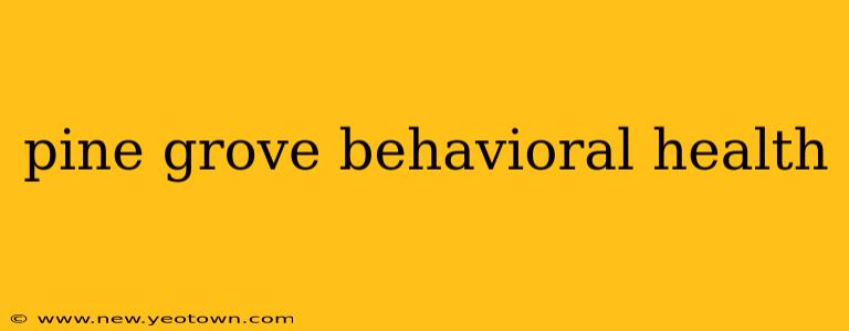 pine grove behavioral health