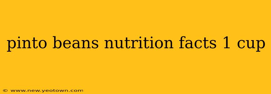 pinto beans nutrition facts 1 cup