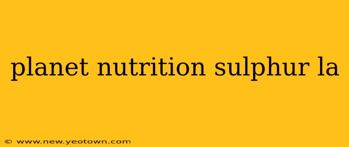 planet nutrition sulphur la